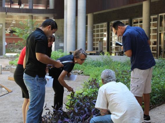 A group of people examining plants in ENR-2 Building