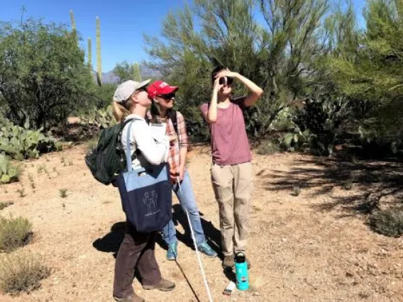 Saguaro National Park