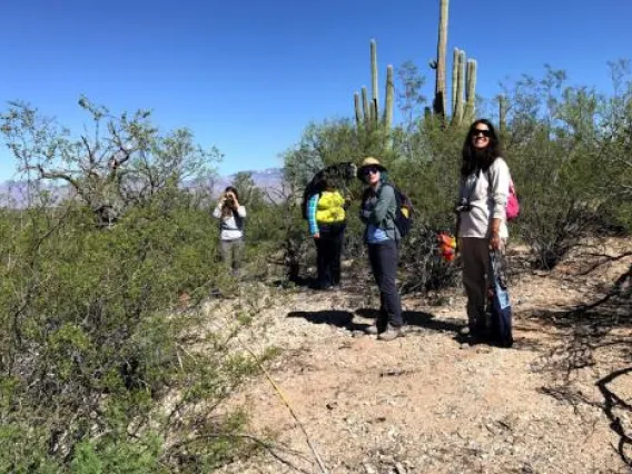 Saguaro National Park