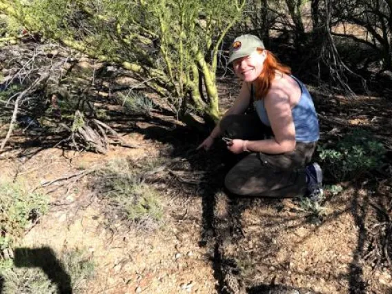 Saguaro National Park