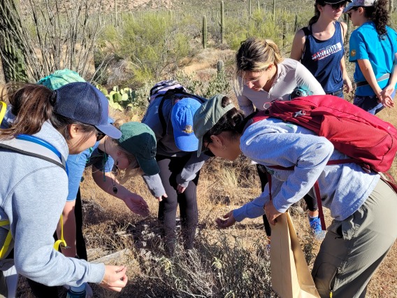 Bio/Diversity Project Interns looking at a native flowering plant during a Saguaro National Park field trip 