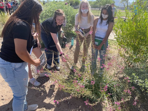 University of Arizona intern identifying a green plant with purple flowers with four middle school students standing around them.