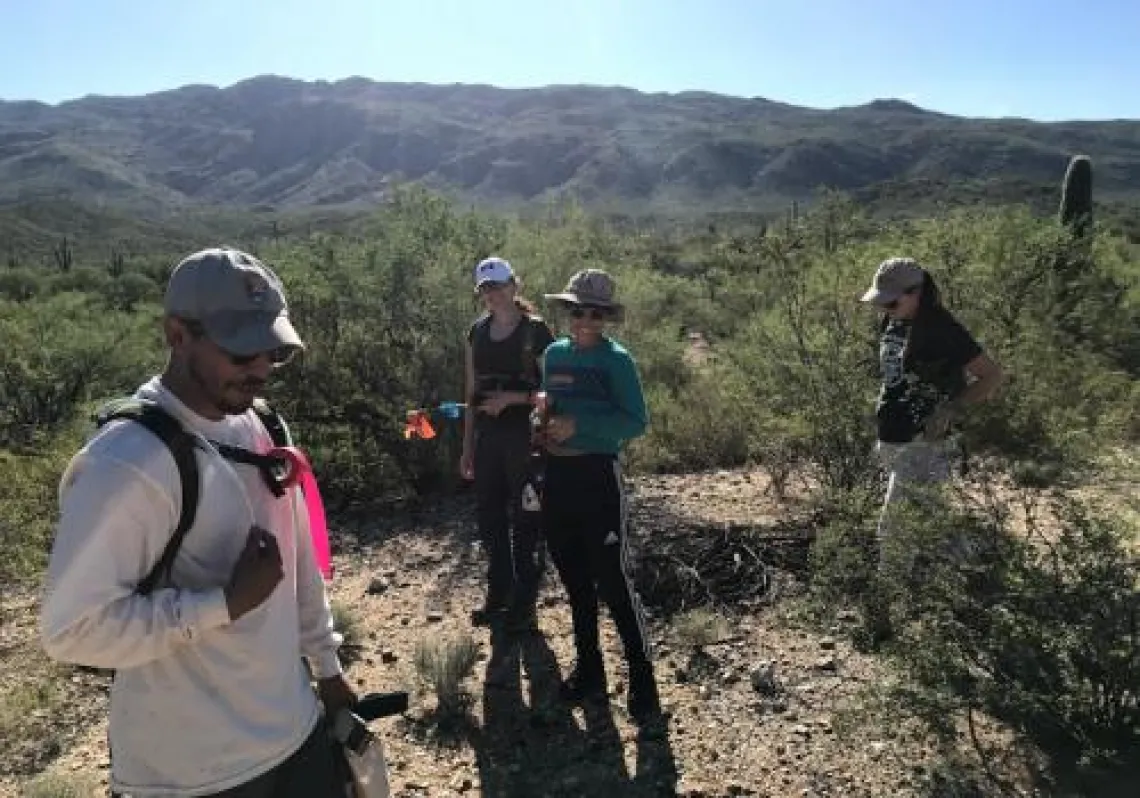 Saguaro National Park