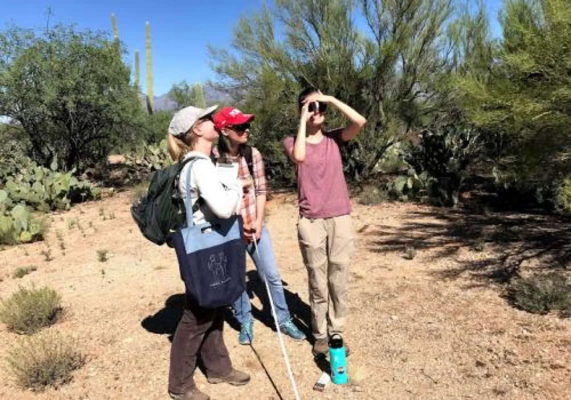 Saguaro National Park