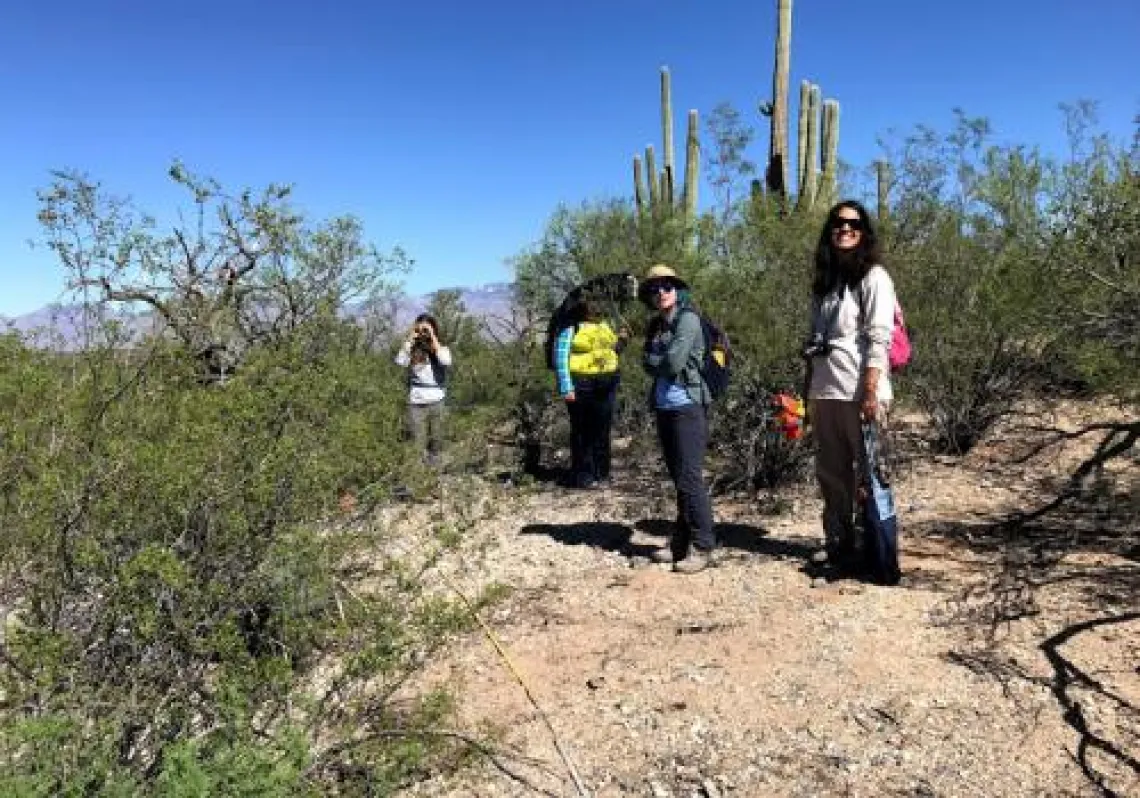 Saguaro National Park