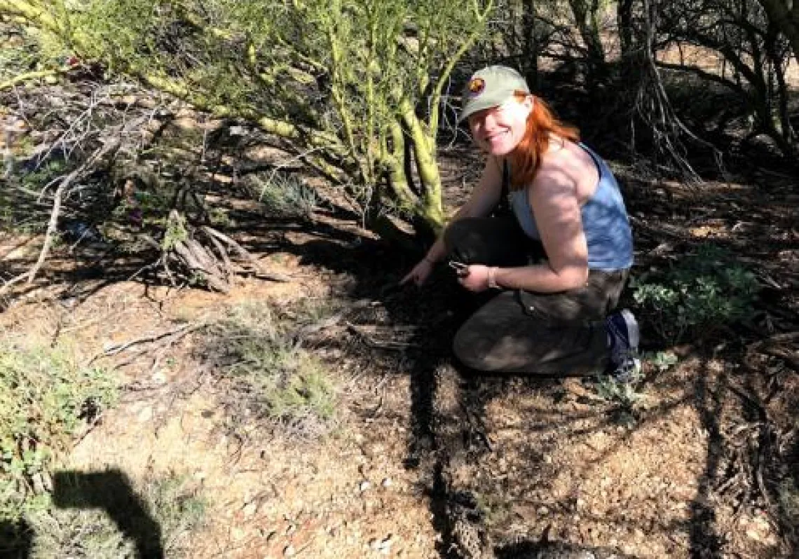 Saguaro National Park