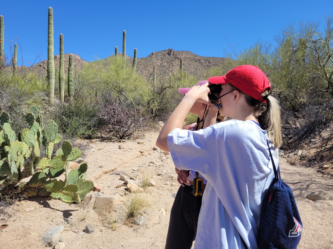 student interns measuring the height of saguaros at Saguaro National Park